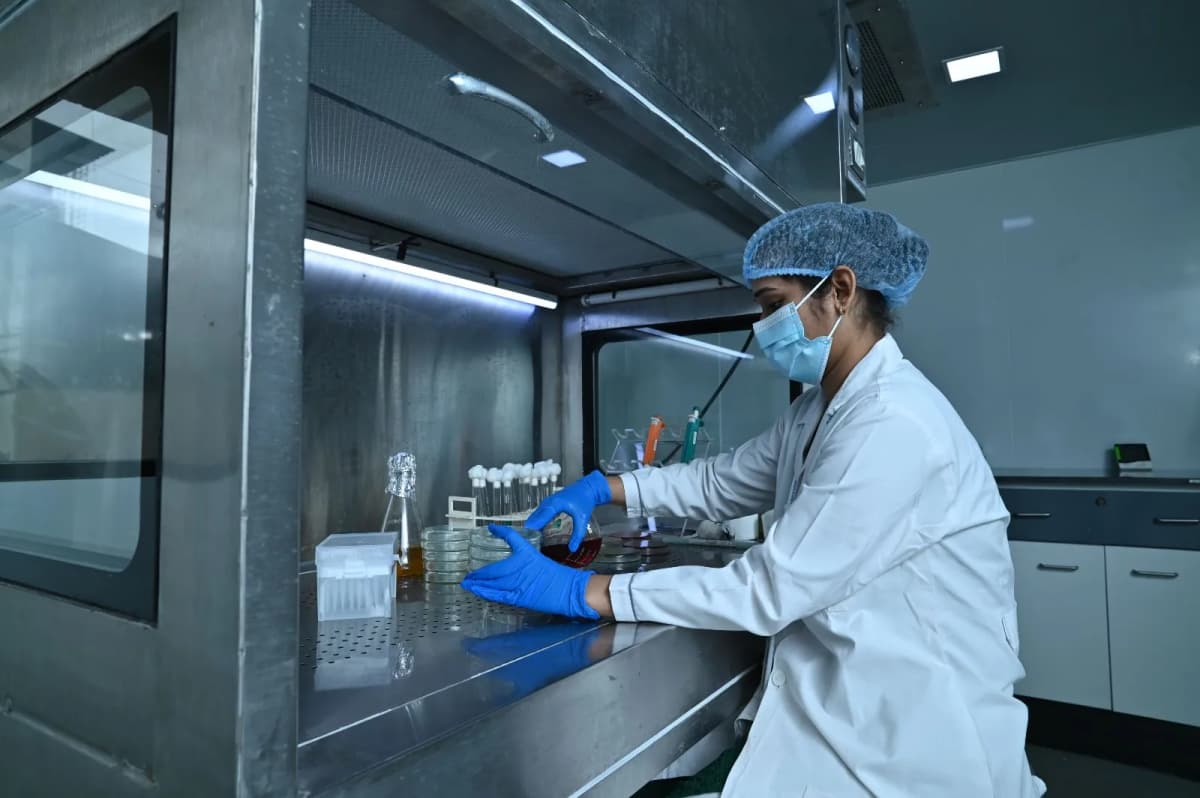 Lab gallery